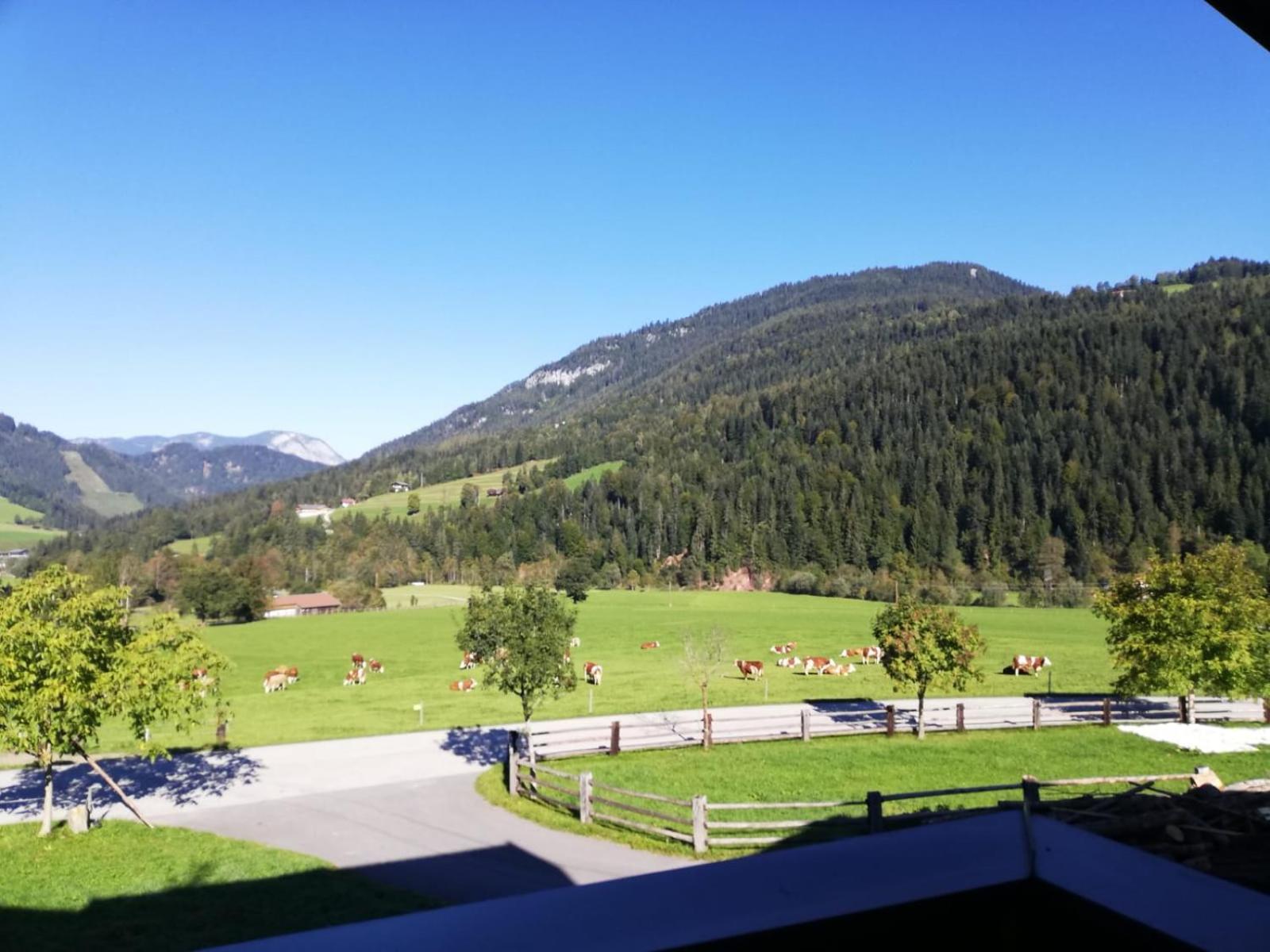 Appartement Nani Soll Bagian luar foto
