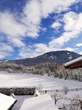 Appartement Nani Soll Bagian luar foto